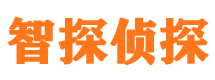 自流井侦探